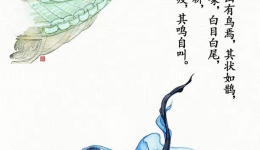 青耕风舞