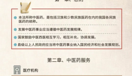普法小课堂 | 《中华人民共和国中医药法》一文解读！