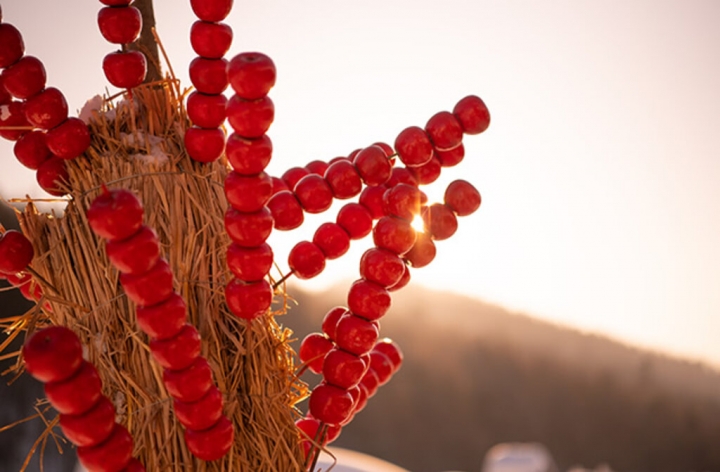 冰糖葫芦图片实拍大全 冰糖葫芦精美图片&rarr;MAIGOO图库