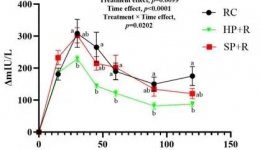 米饭配土豆——「碳水炸弹」还是「控糖帮手」？